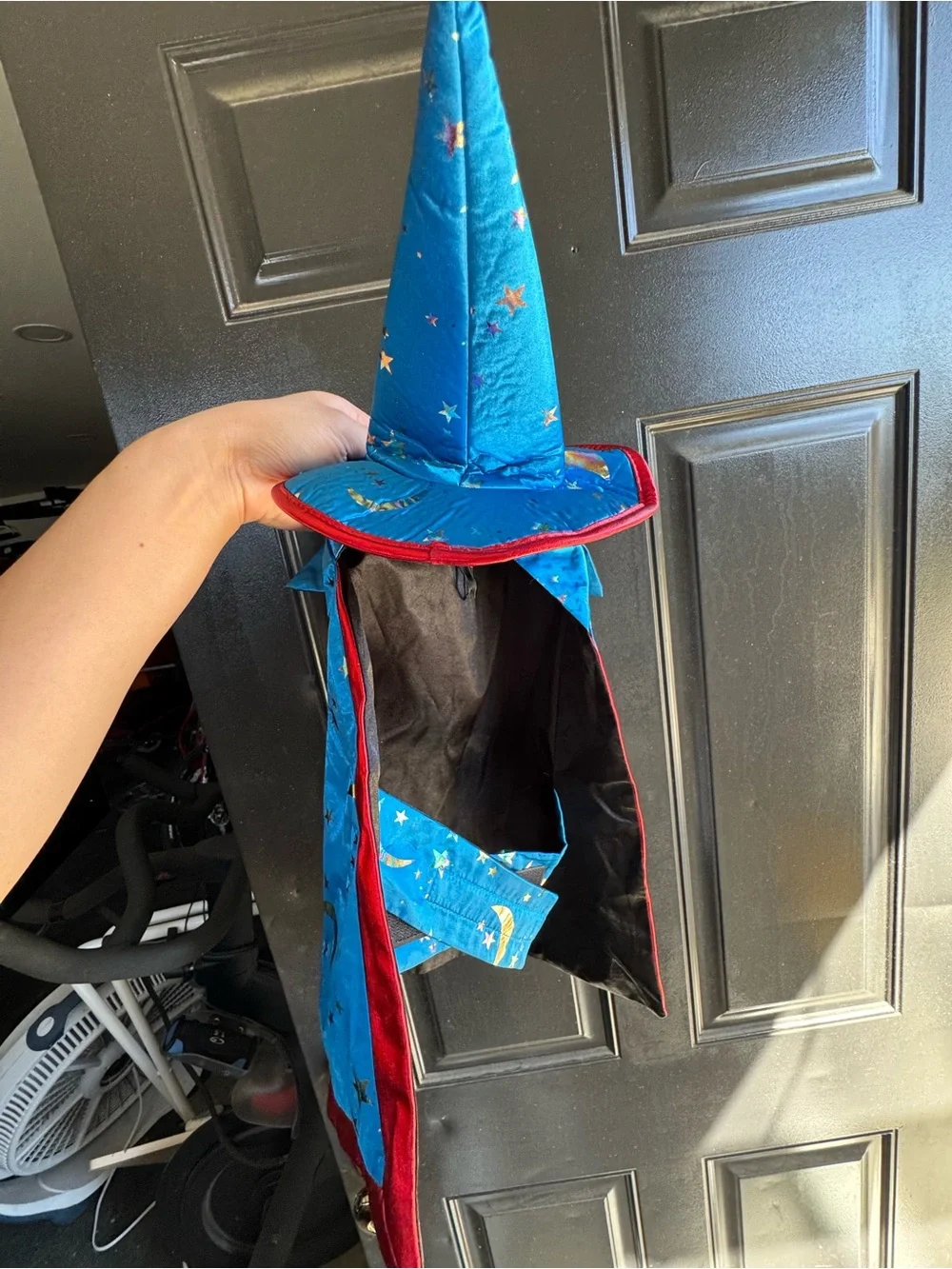 Pet Wizard Costume